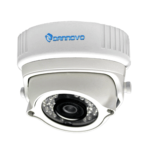 DANNOVO IP IR POE Dome Camera HD 1.3MP Low Light,30M IR Distance,Support ONVIF,RTSP,Motion Detection(DN-H55-MPC-IR-POE)